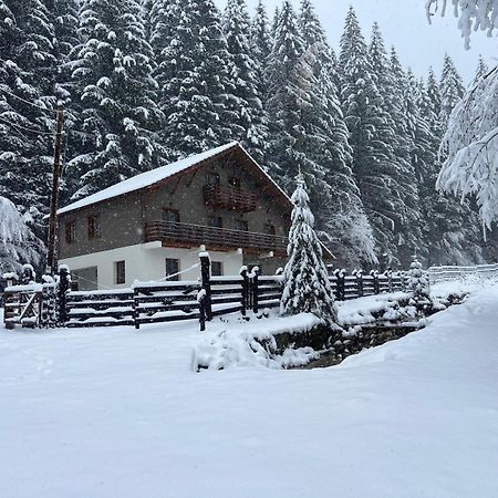 Chiba Chalet Timișu de Jos Esterno foto