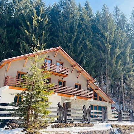Chiba Chalet Timișu de Jos Esterno foto