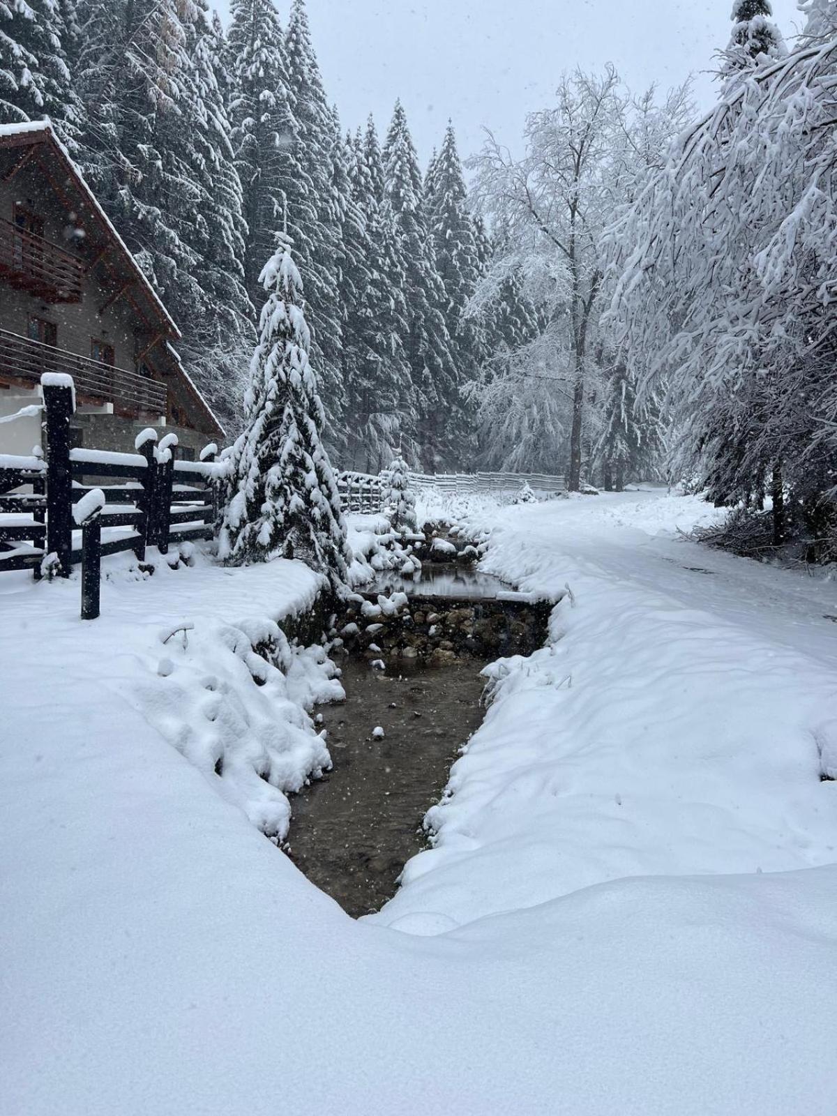 Chiba Chalet Timișu de Jos Esterno foto