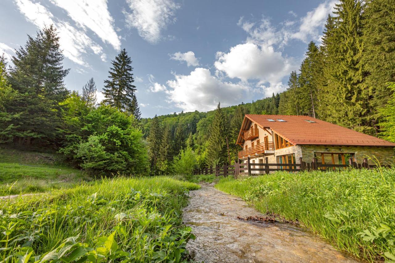 Chiba Chalet Timișu de Jos Esterno foto